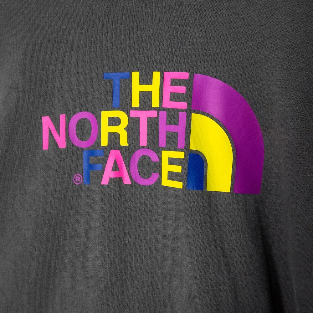 The North Face Gray Fleece Hoodie Rainbow Logo Size L Athleisure Outdoors - Picture 3 of 9